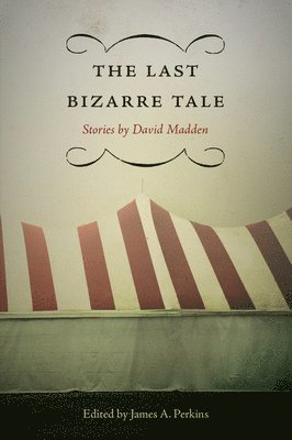 bokomslag Last Bizarre Tale