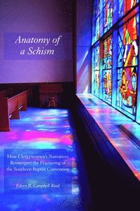 bokomslag Anatomy of a Schism