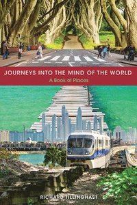 bokomslag Journeys into the Mind of the World