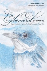 bokomslag Ephemeral by Nature