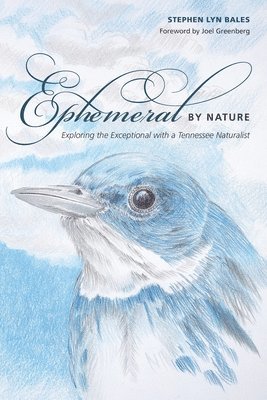 Ephemeral by Nature 1
