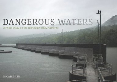 bokomslag Dangerous Waters