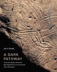 bokomslag Dark Pathway