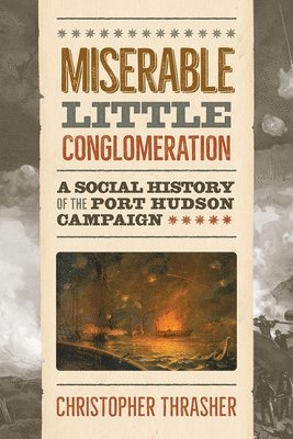 bokomslag Miserable Little Conglomeration