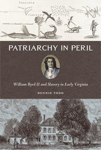 bokomslag Patriarchy in Peril