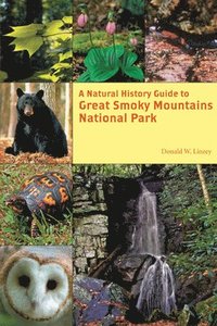 bokomslag A Natural History Guide to Great Smoky Mountains National Park