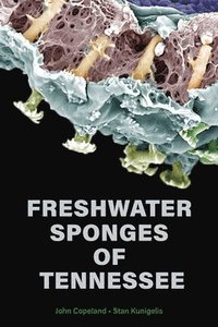 bokomslag Freshwater Sponges of Tennessee