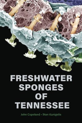 Freshwater Sponges of Tennessee 1