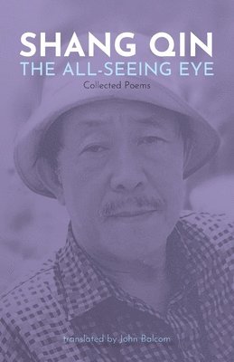 bokomslag All-Seeing Eye