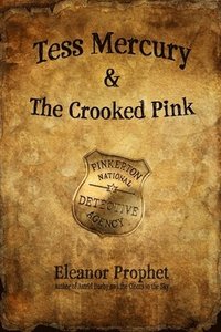 bokomslag Tess Mercury and the Crooked Pink