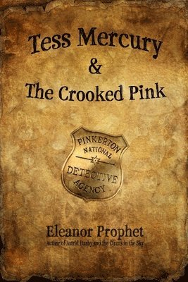bokomslag Tess Mercury and the Crooked Pink