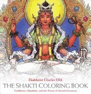 bokomslag The Shakti Coloring Book: Goddesses, Mandalas, and the Power of Sacred Geometry