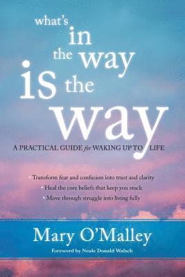 Mary O'Malley - What's in the Way Is the Way, Häftad
