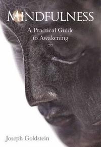 bokomslag Mindfulness: A Practical Guide to Awakening