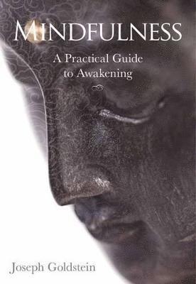 bokomslag Mindfulness: A Practical Guide to Awakening