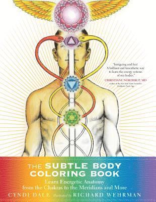 bokomslag Subtle Body Coloring Book