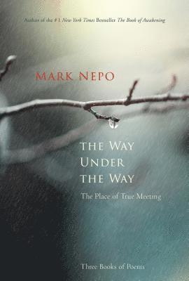 Mark Nepo - The Way Under the Way: The Place of True Meeting, Inbunden