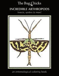 bokomslag Incredible Arthropods: Insects, spiders & more!