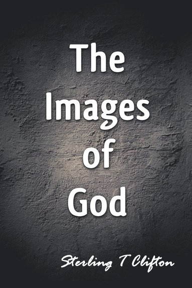 bokomslag Images of God