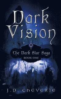 bokomslag Dark Vision