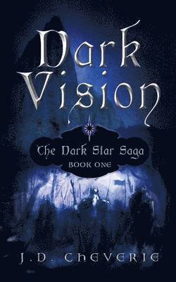 bokomslag Dark Vision