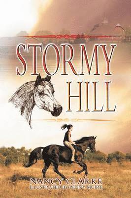 Stormy Hill 1