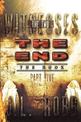 bokomslag End The Book