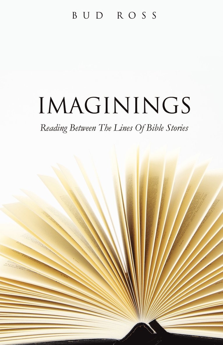 Imaginings 1