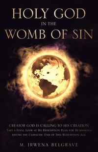 bokomslag Holy God in the Womb of Sin