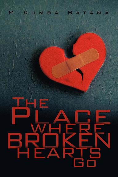 bokomslag Place Where Broken Hearts Go