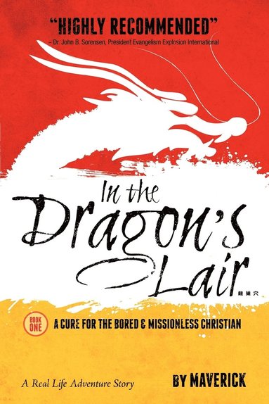 bokomslag In the Dragon's Lair