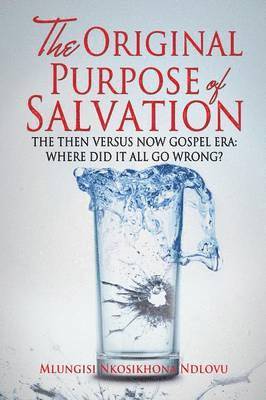 bokomslag Original Purpose of Salvation
