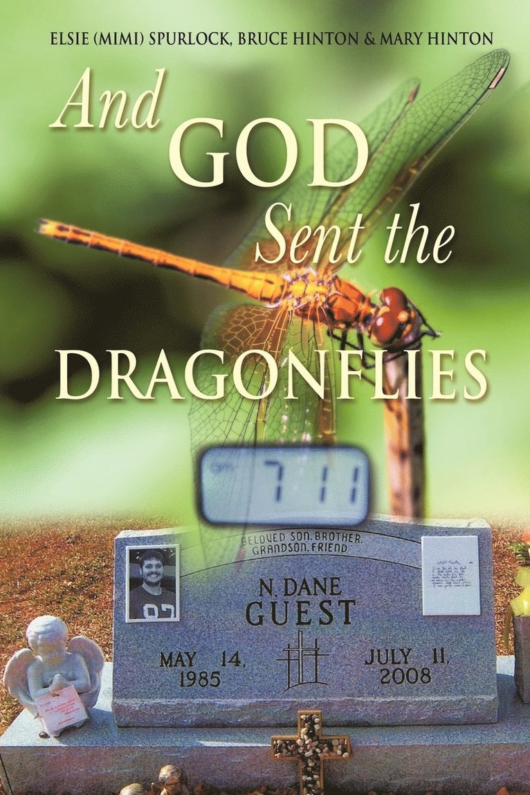 And God Sent the Dragonflies 1