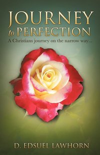 bokomslag Journey to Perfection