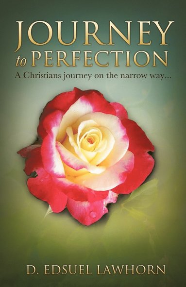 bokomslag Journey to Perfection