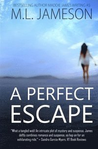 bokomslag A Perfect Escape