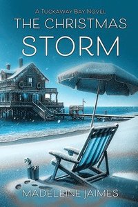 bokomslag Christmas Storm