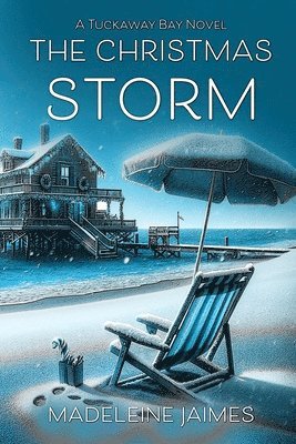 bokomslag Christmas Storm