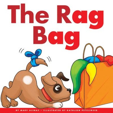 bokomslag Rag Bag