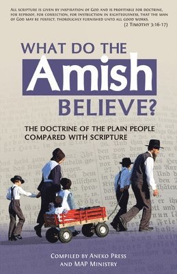 Aneko Press, Map Ministry, MAP Ministry - What Do the Amish Believe?, Häftad