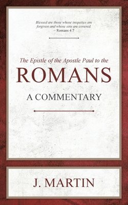 bokomslag Romans