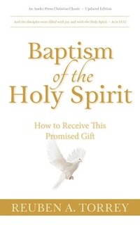 bokomslag Baptism of the Holy Spirit