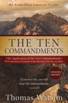 bokomslag Ten Commandments