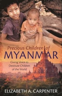 bokomslag Precious Children of Myanmar