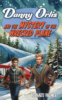 bokomslag Danny Orlis and the Mystery of the Wrecked Plane