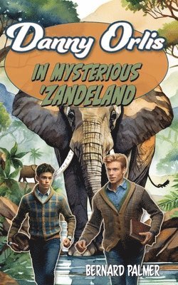 bokomslag Danny Orlis in Mysterious 'Zandeland