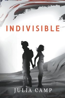 Indivisible 1