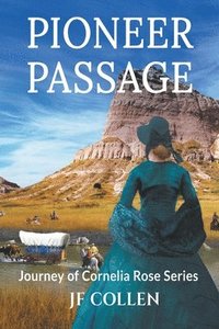 bokomslag Pioneer Passage
