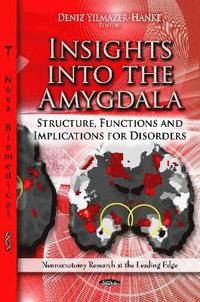 bokomslag Insights into the Amygdala