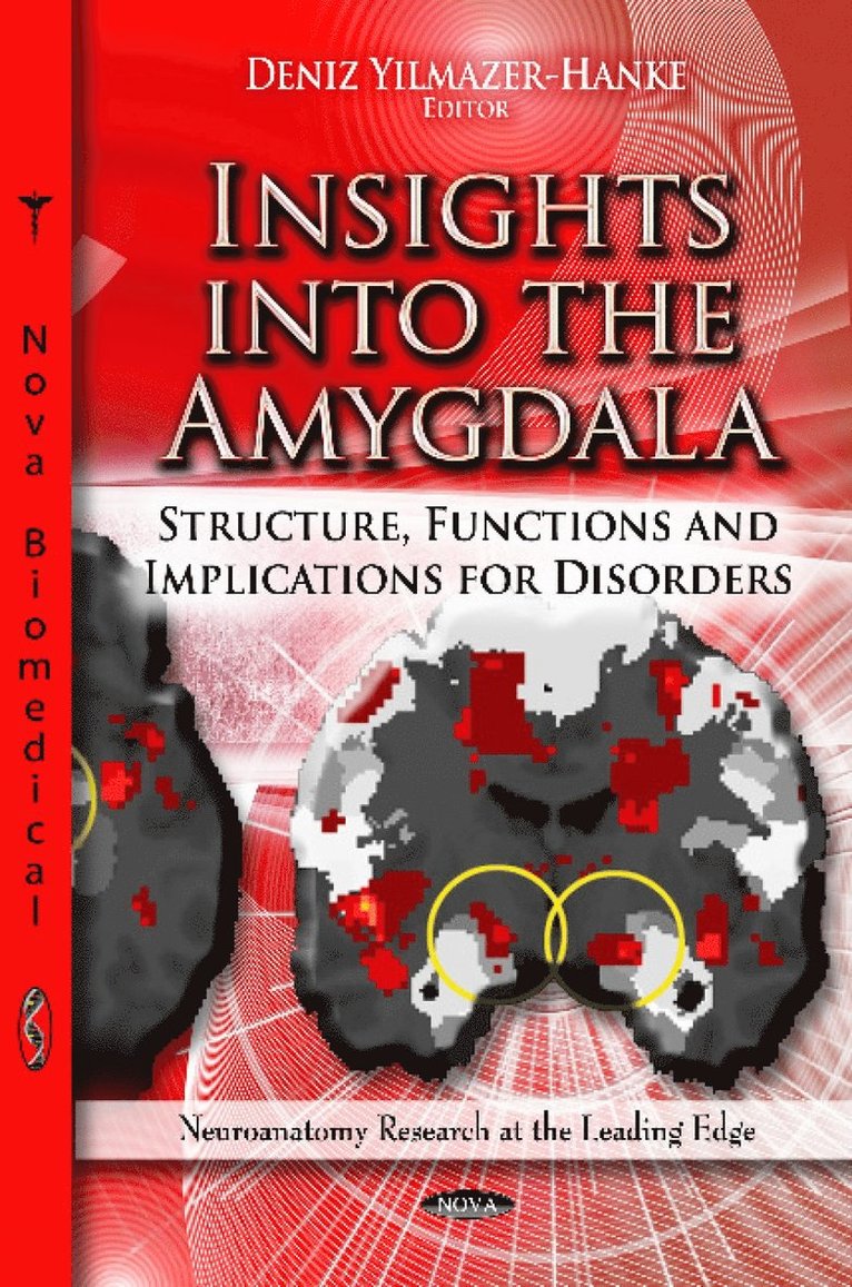 Deniz Yilmazer-Hanke - Insights into the Amygdala, Inbunden